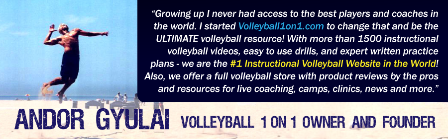Volleyball Andor Gyulai