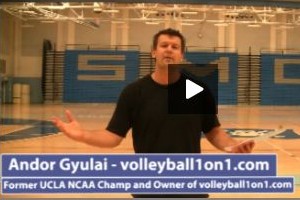 Beginner Volleyball Practice Plan 1 by Andor Gyulai