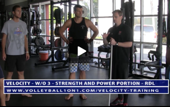 RDL and Core, Anti Rotation Stability -  Strength and Power Portion of Velocity Workout 3