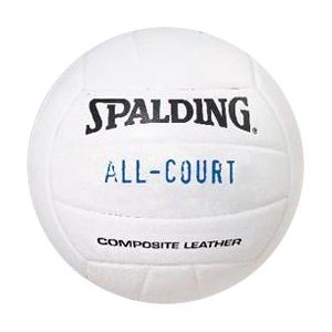 cheap volleyballs