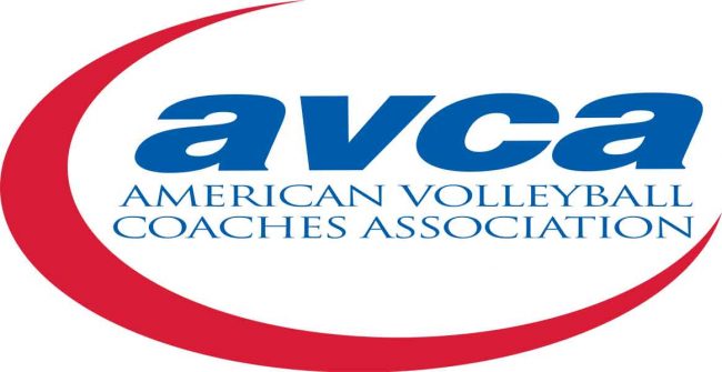 AVCA-Testimonial-Volleyball1on1