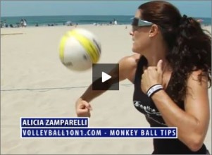 Alicia Zamparelli Monkey Ball