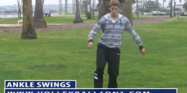 Ankle Swings