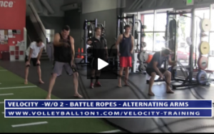 ESD Training - Battle Ropes - Double, Alternating and Butterfly Arm Swings