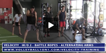 ESD Training – Battle Ropes – Double, Alternating and Butterfly Arm Swings