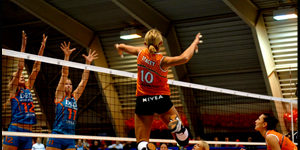 Free Skill Evaluation