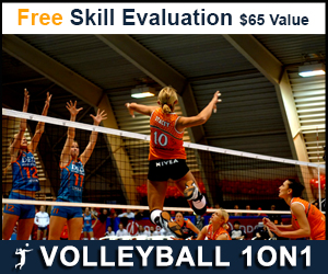 Free Skill Evaluation