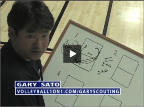 Gary Sato Volleyball Scouting