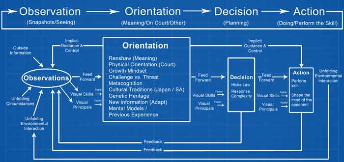 Grown-Mindset--OODA-Loop-Blueprint