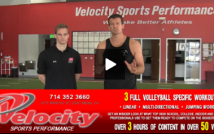 Information about Velocity Sports Performance