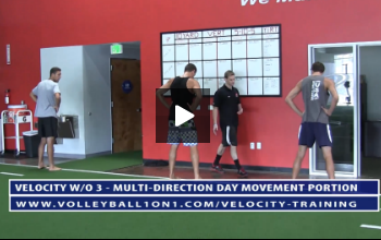 Movement Portion - Velocity Workout 3 - Multi-Directional