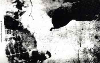 Renshaw-Orientation
