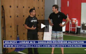 Shoulder Posterior Activation Using TRX - Y T W Exercises